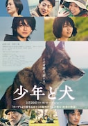 少年と犬