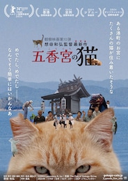 五香宮の猫
