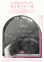 何も知らない夜