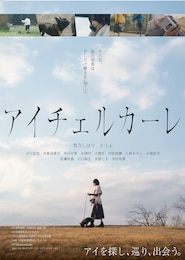 アイチェルカーレ