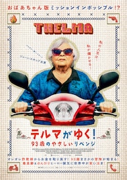 テルマがゆく!  93歳のやさしいリベンジ