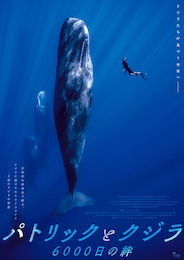 パトリックとクジラ 6000日の絆