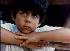 みどりの壁（デジタル・レストア版）