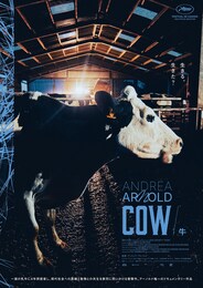 COW／牛
