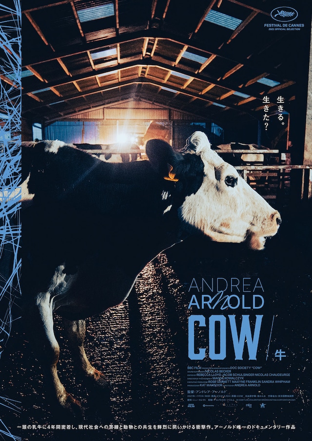 COW／牛