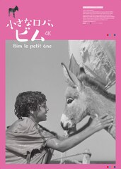 小さなロバ、ビム 4K