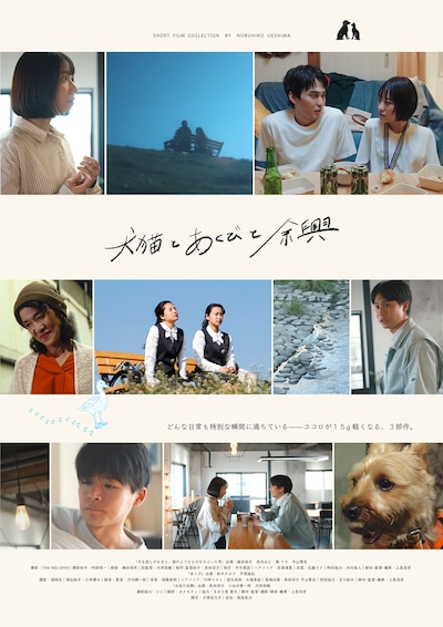 犬猫とあくびと余興