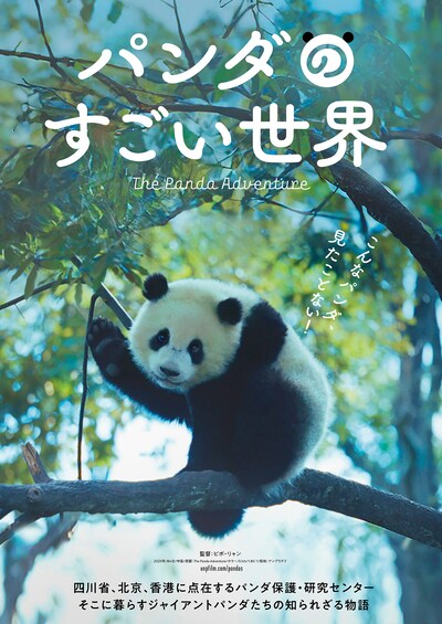 パンダのすごい世界