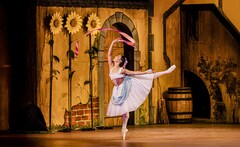 《英国ロイヤル・バレエ＆オペラ in シネマ 2025/26／ロイヤル・バレエ『リーズの結婚』》