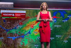 ディスクロージャー・デイ