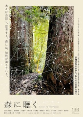 森に聴く Listen to the Forest