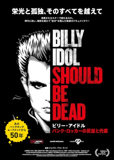 ビリー・アイドル パンク・ロッカーの反逆と代償