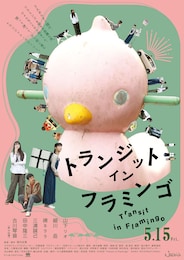 トランジット・イン・フラミンゴ