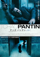 チャオ・パンタン 4K