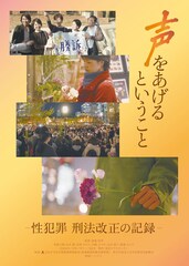 声をあげるということ-性犯罪 刑法改正の記録-
