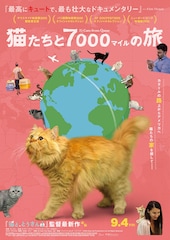 猫たちと7000マイルの旅