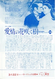 愛情の花咲く樹