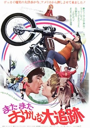 またまたおかしな大追跡