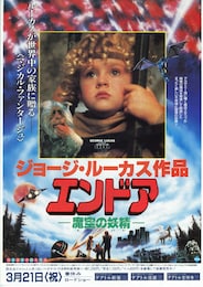 エンドア・魔空の妖精