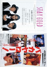 STAY GOLD ステイゴールド