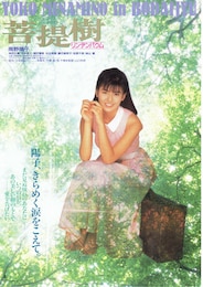 菩提樹・リンデンバウム