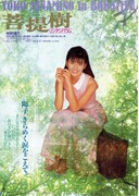 菩提樹・リンデンバウム フライヤー3