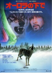 オーロラの下で