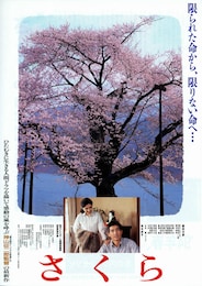 さくら
