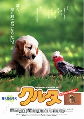 クルタ The adventure of a GOLDEN DOG