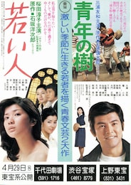 若い人（1977年）