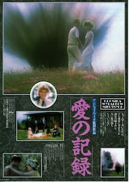 愛の記録