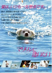 マリリンに逢いたい