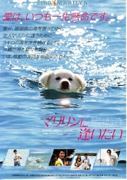 マリリンに逢いたい