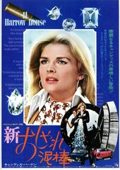 新おしゃれ泥棒