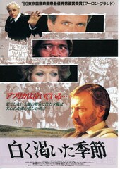 白く渇いた季節