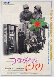 つながれたヒバリ