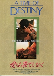 デスティニー 愛は果てしなく
