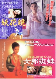 韓国絶倫秘伝 女郎蜘蛛