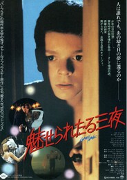 クレイジー・ラブ 魅せられたる三夜