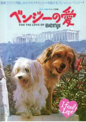 ベンジーの愛