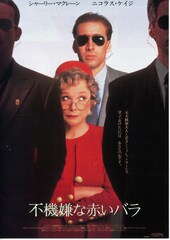 不機嫌な赤いバラ