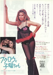 フクロウと子猫ちゃん