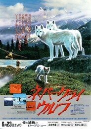 ネバー・クライ・ウルフ