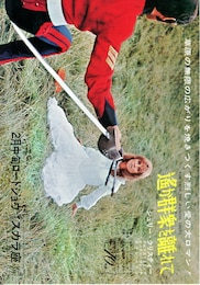 遥か群衆を離れて