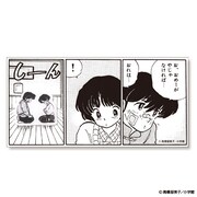 らんま1/2 乱馬とあかねのピンズ vol.2