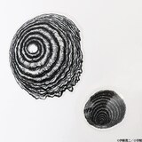 伊藤潤二のホラーマンガ うずまき 北米でアニメ化 監督は 惡の華 長濱博史 映画ナタリー