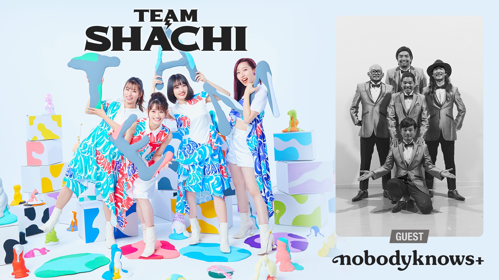TEAM SHACHI /  nobodyknows+（ゲスト出演）