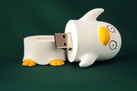 すね毛の生えた中の人は居ないようだ。