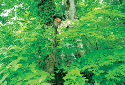 ミュージシャン、ネイチャージモンのアー写。自然と一体となり、もはやどこまで木でどこからネイチャーかは判別不能。さすが。