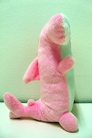 側面からの画像。横からだと幾分サメに見える。